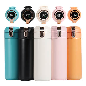 Temperature Display Smart Water Bottle